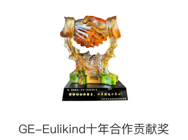 GE-Eulikind十年合作贡献奖
